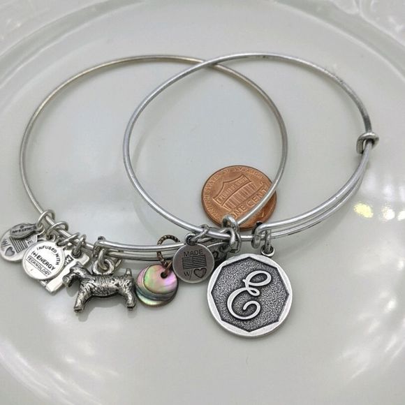 Alex and Ani Rafaleian Silver Dog Int. E Bracelets - Picture 1 of 8